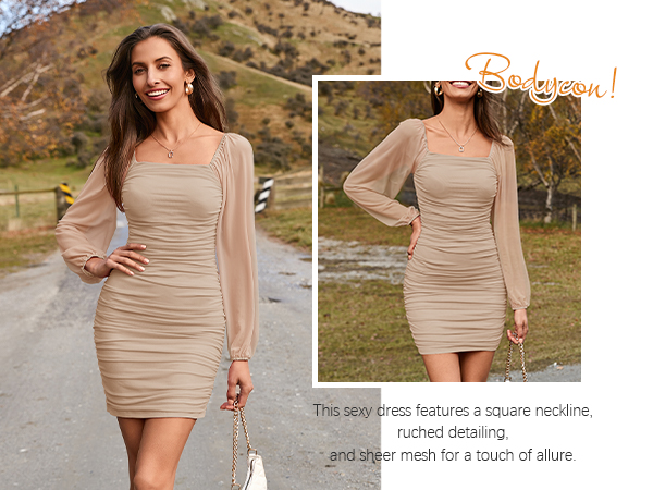 Wenrine Women''s Mesh Long Sleeve Dress