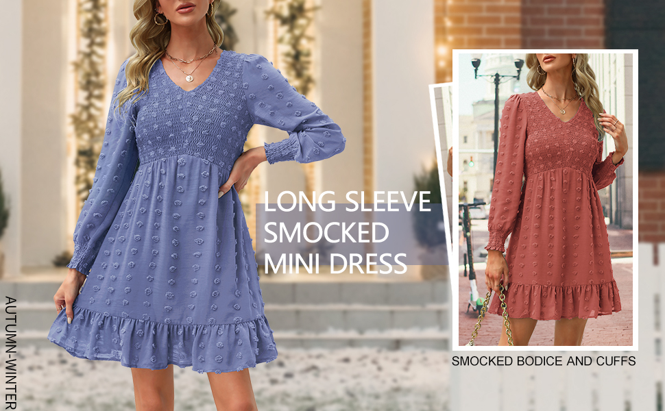 Long Sleeve Fall and Spring Mini Dress