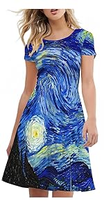 Van Gogh Starry Night