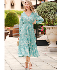 Women''s Long Sleeve V Neck Button Up Floral Print A-Line Flowy Maxi Dress