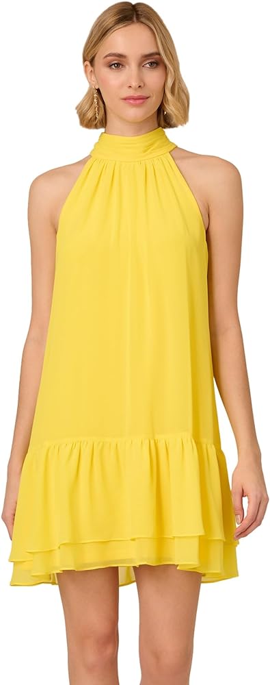 Adrianna Papell Women's Chiffon Trapeze Short Dress