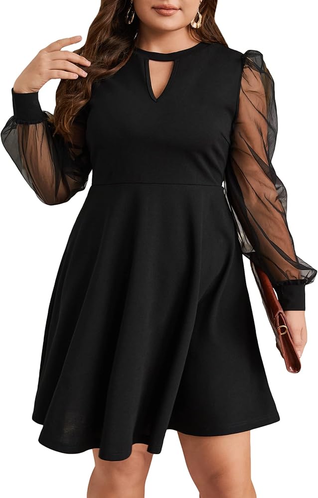 WDIRARA Women's Plus Size Sheer Mesh Long Sleeve A Line Flared Elegant Mini Dress